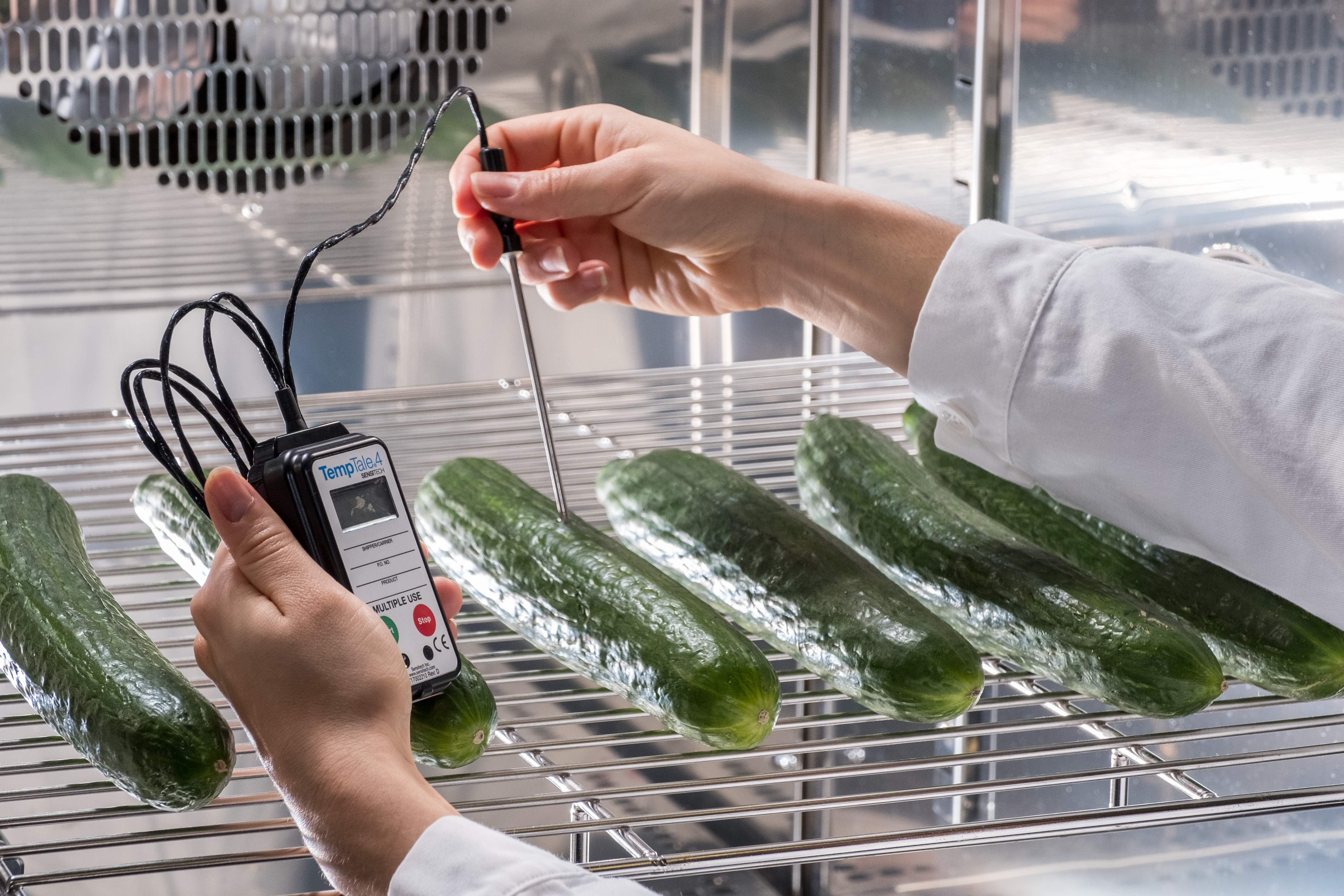 Sensor-Messung an einer Gurke im Kühlschrank – frühe Projektphase